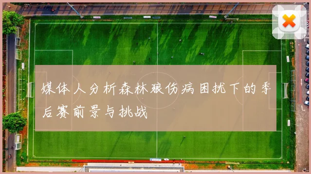 媒体人分析森林狼伤病困扰下的季后赛前景与挑战