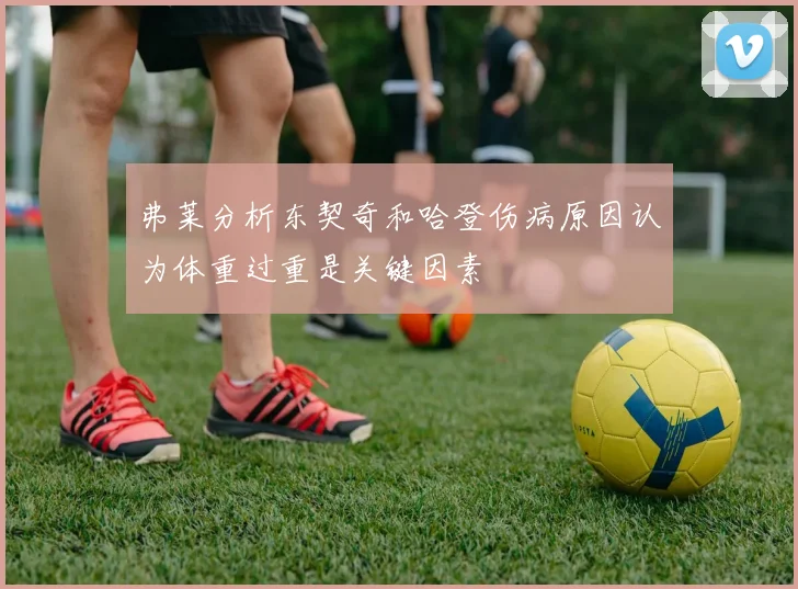 弗莱分析东契奇和哈登伤病原因认为体重过重是关键因素